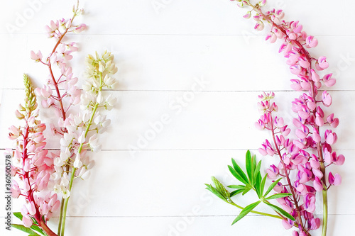 White and pastel pink lupins on a vintage white wooden background. Top view of a flower frame. Lovely summer flat lay. Copy space for your text and product.