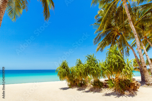 Beautiful landscape of tropical beach on Boracay island  Philippines under lockdoun. Coconut palm trees  sea  sailboat and white sand. Nature view. Summer vacation concept.