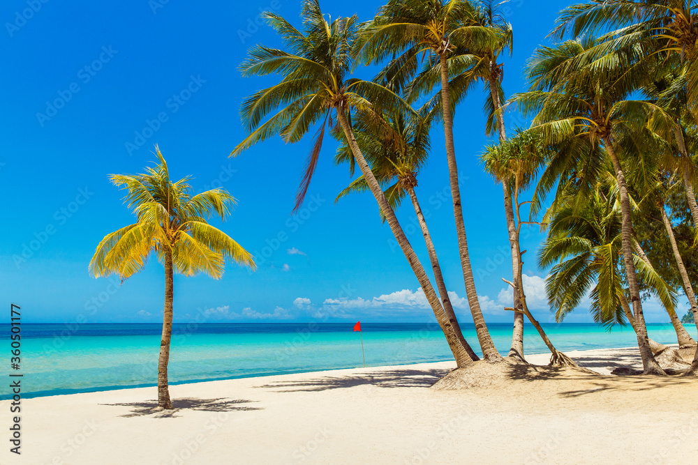 Obraz premium Beautiful landscape of tropical beach on Boracay island, Philippines under lockdoun. Coconut palm trees, sea, sailboat and white sand. Nature view. Summer vacation concept.
