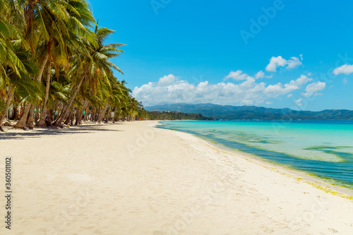 Fototapeta Naklejka Na Ścianę i Meble -  Beautiful landscape of tropical beach on Boracay island, Philippines under lockdoun. Coconut palm trees, sea, sailboat and white sand. Nature view. Summer vacation concept.