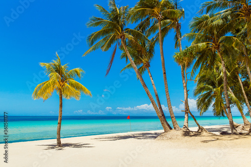 Beautiful landscape of tropical beach on Boracay island  Philippines under lockdoun. Coconut palm trees  sea  sailboat and white sand. Nature view. Summer vacation concept.