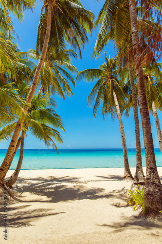Fototapeta Naklejka Na Ścianę i Meble -  Beautiful landscape of tropical beach on Boracay island, Philippines. Coconut palm trees, sea, sailboat and white sand. Nature view. Summer vacation concept.