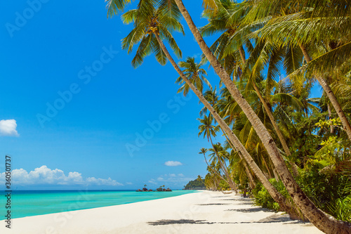 Fototapeta Naklejka Na Ścianę i Meble -  Beautiful landscape of tropical beach on Boracay island, Philippines. Coconut palm trees, sea, sailboat and white sand. Nature view. Summer vacation concept.