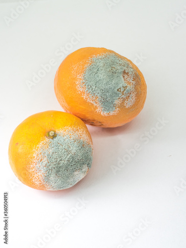 Rotten tangerine isolated