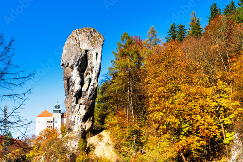 Rock called Hercules Club in Pieskowa Skala, Poland