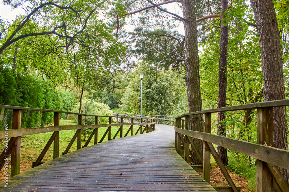 Wooden foot bridge in the forest