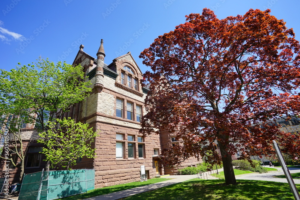 University of Toronto Campus spring landscape University of Toronto Campus spring landscape