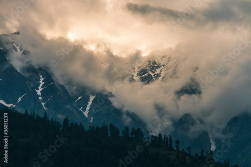 Forest and snow-capped peaks of the Himalayan mountains in gray clouds