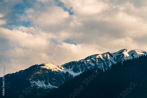 Forest and snow-capped peaks of the Himalayan mountains in North India