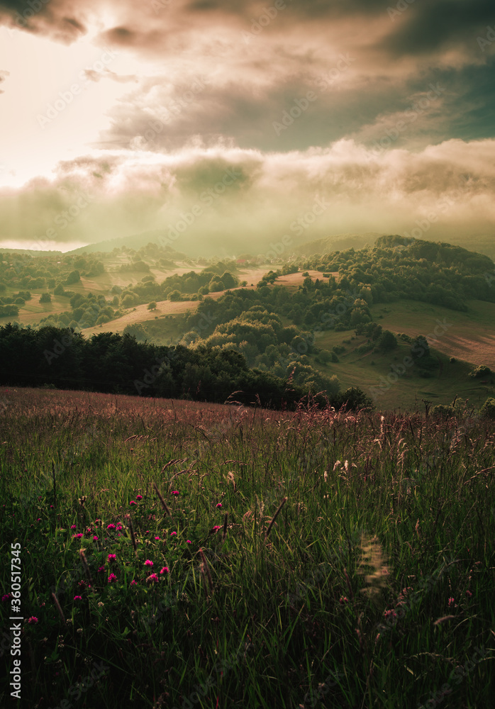 Beautiful scenic view of valley and big hills in Slovakia on sunset with misty cloudy sky. Perfect panorama view on meadow with flowers and hills on sunset - summertime vertical photo.