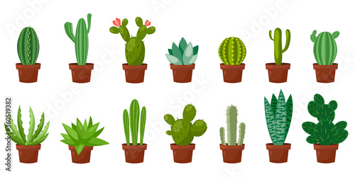 Horizontal banner set of desert, room green cactus. Flat, cartoon style. Vector illustration white background. Element design.