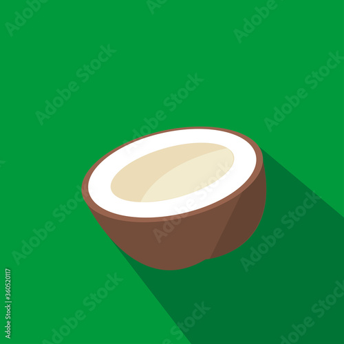 Coconut cartoon flat icon. Brazil. Vector illustration.