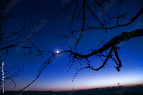 Night Moon