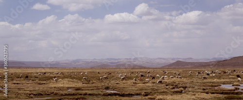 landscape with clouds