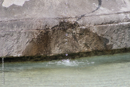Lainzer Tiergarten, Wasserspiele, Tiere, Landschaft