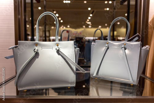 Two elegant gray women's bags on store shelf.