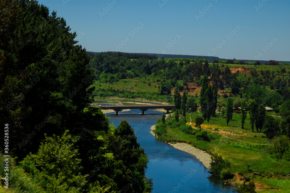 Fototapeta premium paisajes naturaleza campo flores pastizales bobinos volcanes rio Chile Sudamerica cascada arboles