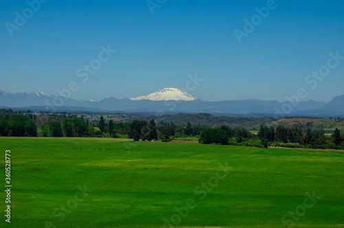 paisajes naturaleza campo flores pastizales bobinos volcanes rio Chile Sudamerica cascada arboles