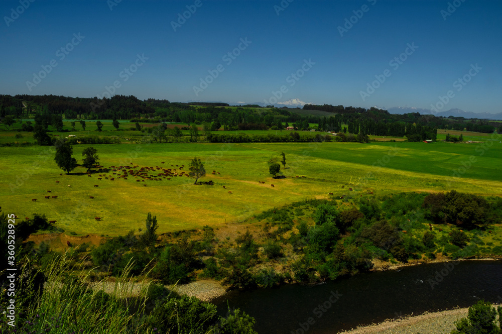 Naklejka premium paisajes naturaleza campo flores pastizales bobinos volcanes rio Chile Sudamerica cascada arboles