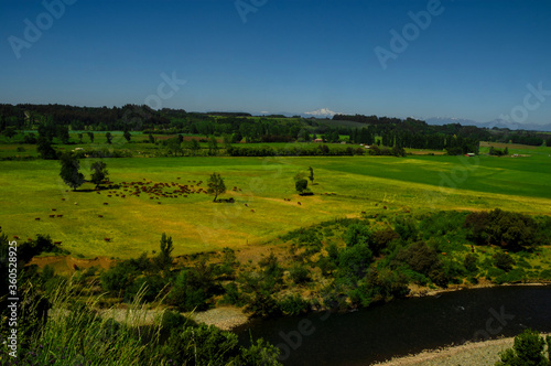 paisajes naturaleza  campo flores  pastizales bobinos   volcanes  rio Chile Sudamerica cascada arboles