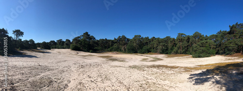 Panorama from the sand dunes around Beerze
