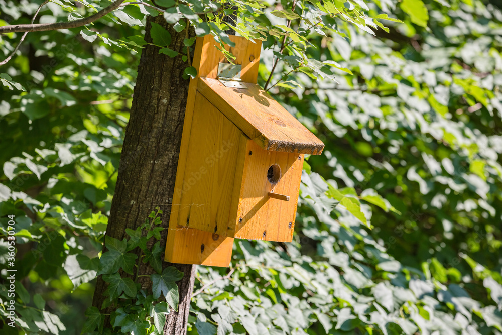 Wooden birdhouse in the tree on the wood. To take of our smaller brothers Wooden birdhouse in the tree on the wood. To take of our smaller brothers