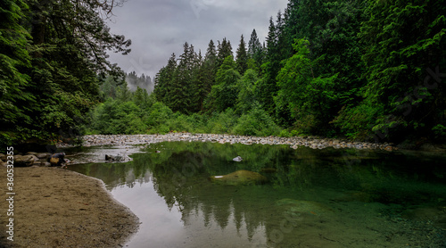 Pine trees reflecting in a lake in Lynn Canyon Park forest