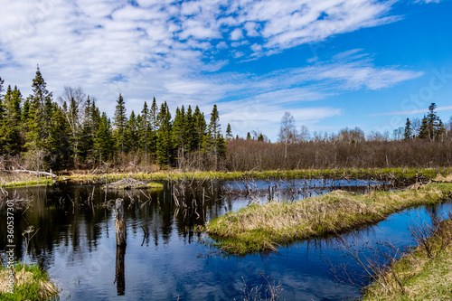 The Humber River wanders through the park. Sir Richard Squires Provincial Park, Newfoundland, Canada