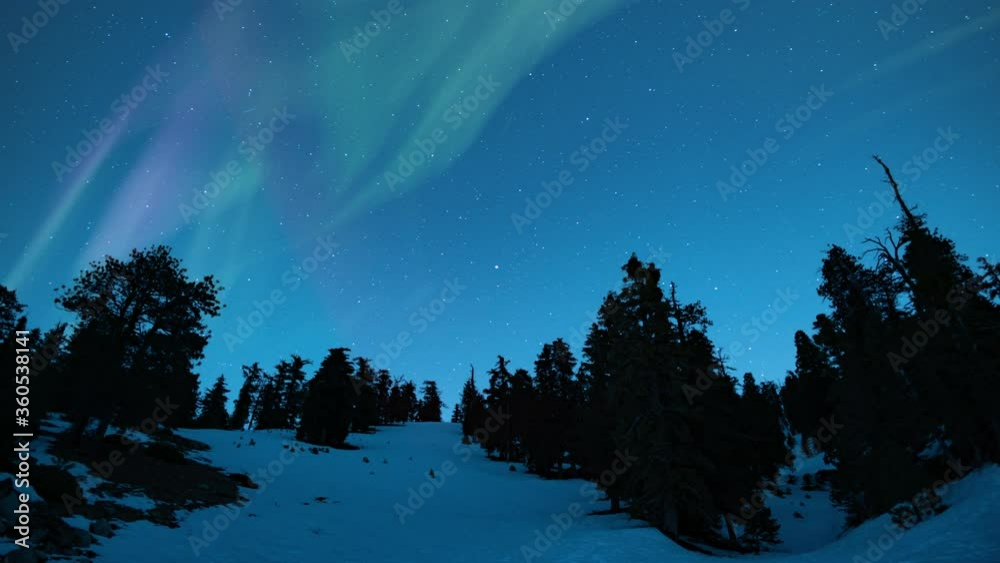 Aurora Green Purple Above Snow Covered Alpine Forest 01 Loop Aurora Green Purple Above Snow Covered Alpine Forest 01 Loop