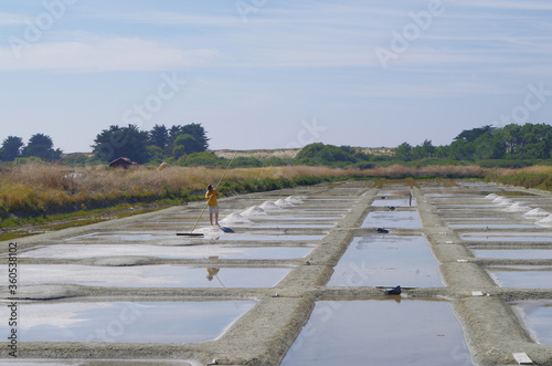 marais salants à Noirmoutier en île