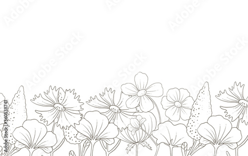 Fototapeta Naklejka Na Ścianę i Meble -  Graphics outline summer, spring flowers set. Isolated on white background