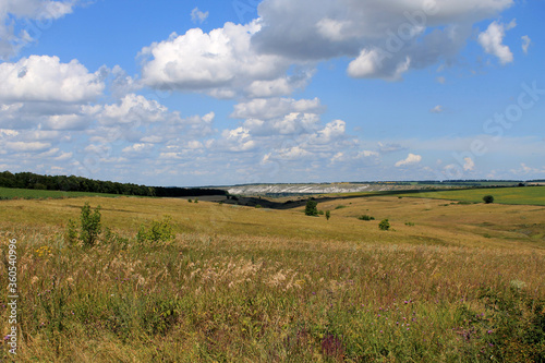 field and sky