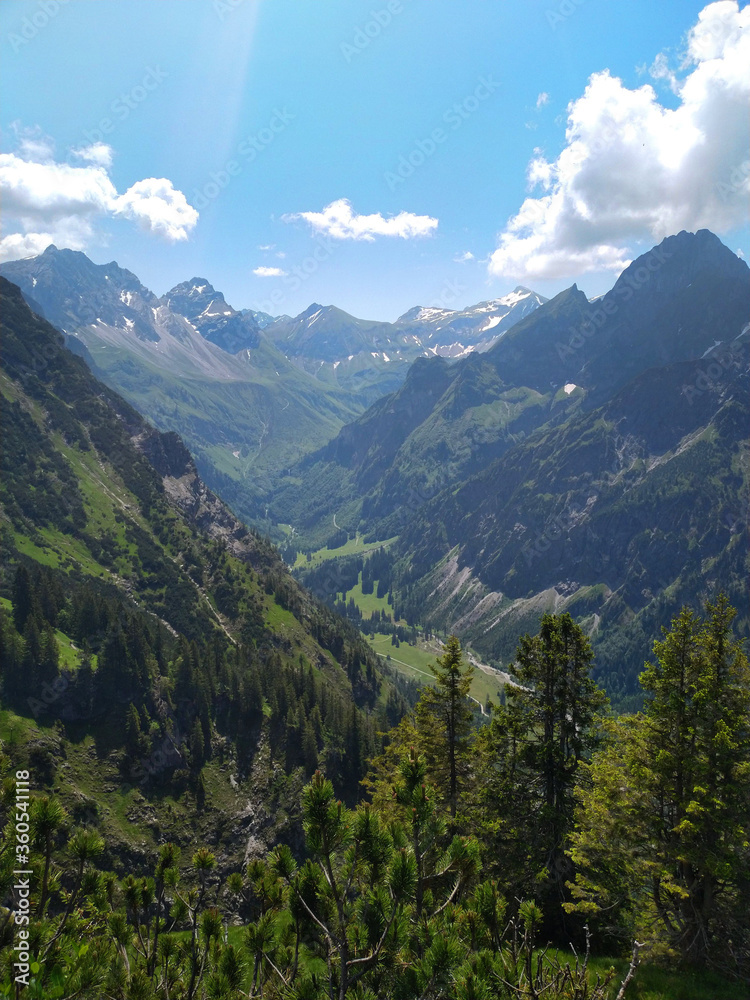 Fototapeta premium Oytal