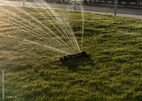 Watering lawn in city by an adjustable oscillating sprinkler in summer. Portable, water efficient an oscillating sprinkler with metal arm sprays out a fan of water to the grass area in public streets photo