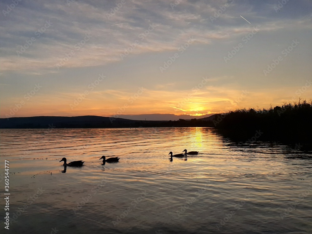 Fototapeta premium sunset on the lake