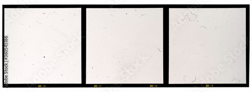 120mm middle or medium format analog film frame or strip on white background, real 6x6 frame scan, film grain 