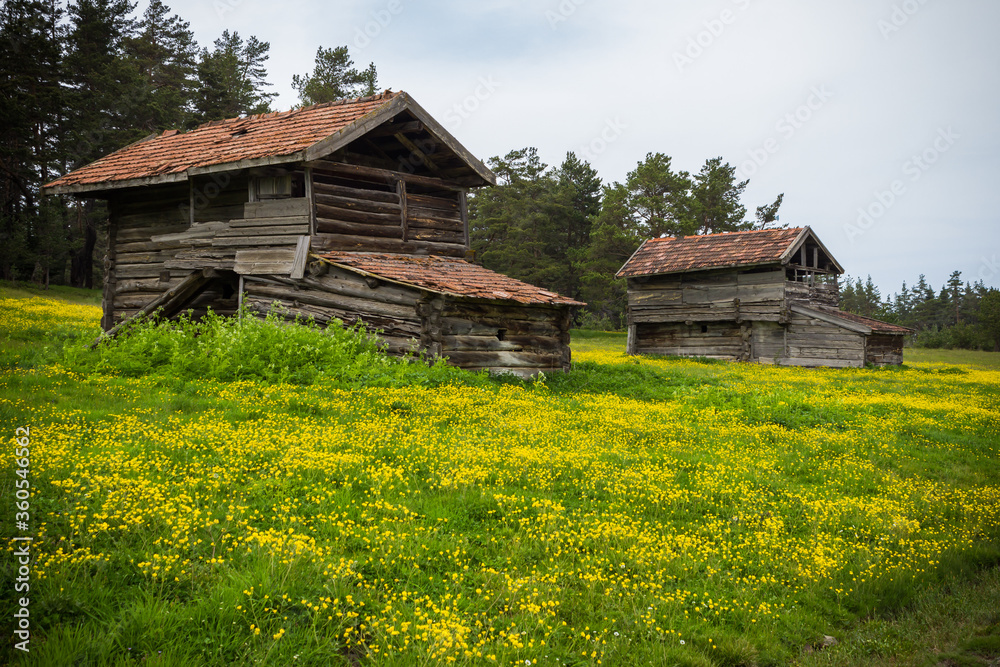 Old wooden Turkish village house in meadow with green grass, yellow flowers and trees, cloudy sky Old wooden Turkish village house in meadow with green grass, yellow flowers and trees, cloudy sky