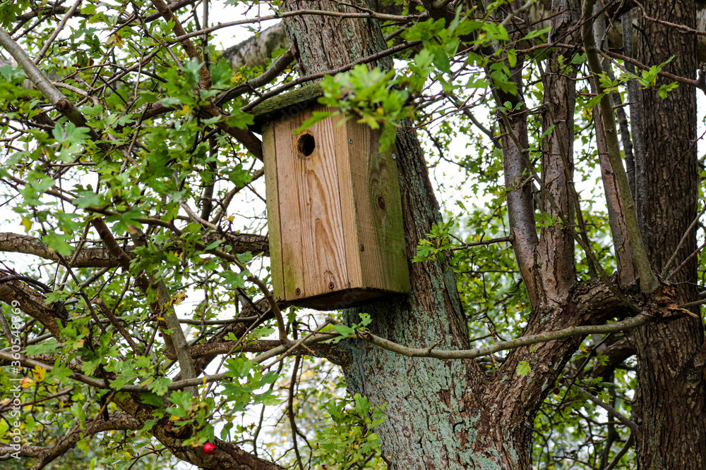 Wooden birdhouse on tree in the forest and park.