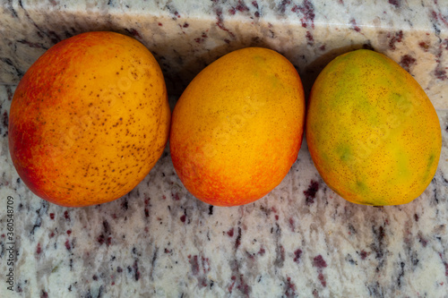 top view of three colorful mangoes on a light colored background