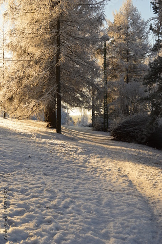 Finnish sunny winter
