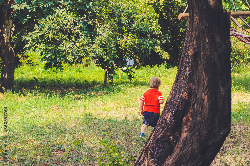 The little boy in a summer garden. The little boy in a summer garden.