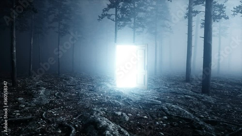 Glowing door in fog night forest. Light portal. Mistic and magic concept. Realistic 4k animation. photo