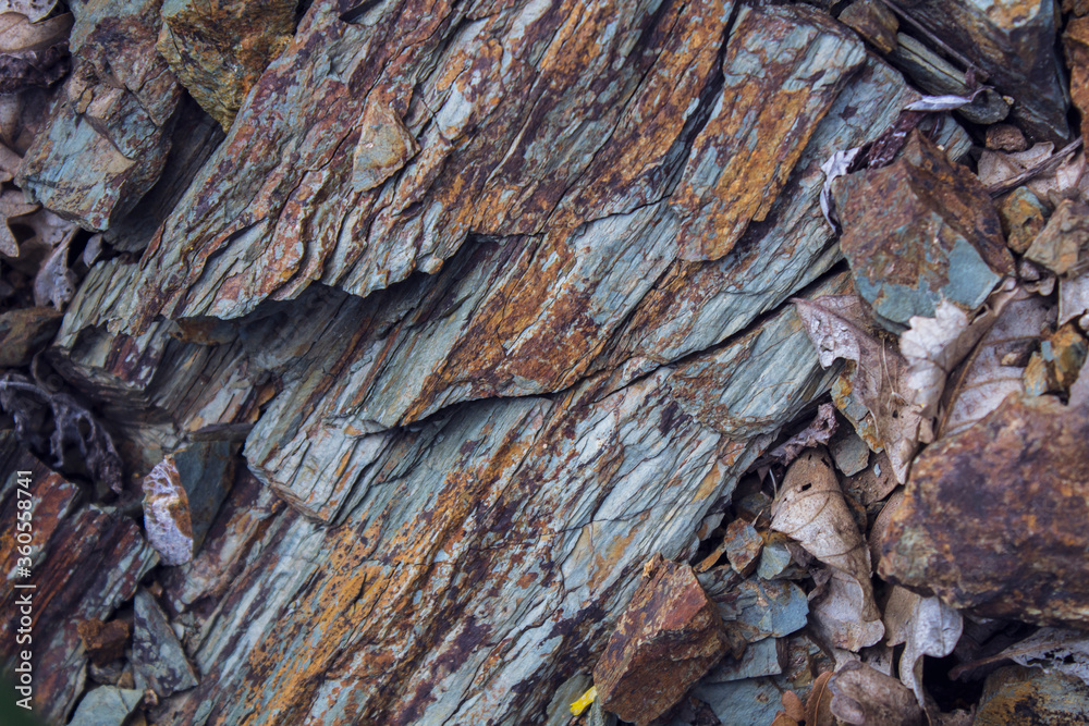 background of rust of breeds background of rust of breeds