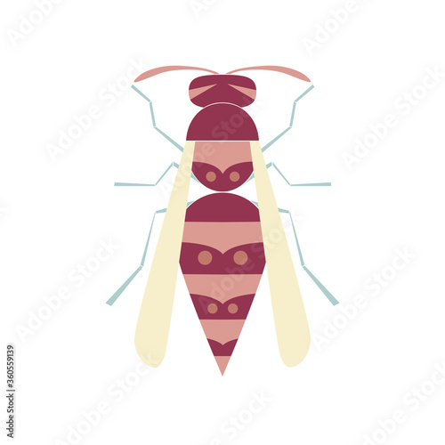 Wasp view from above. Ornamental pattern. Isolated insect cartoon vector illustration in flat style