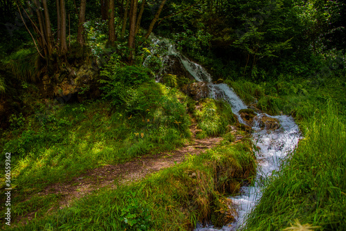 mountain stream with path
