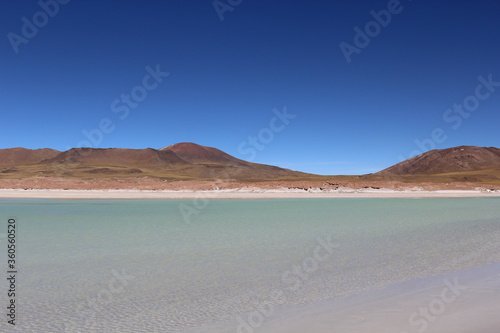 Landscape of Piedras Rojas, Atacama, Chile.