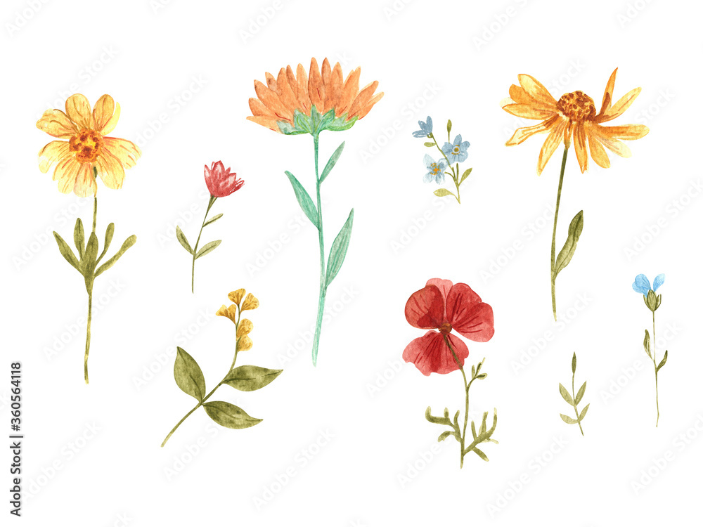 Set of watercolor wild flowers. Red poppy, yellow daisy, blue cornflower, sunflower. Delicate set for the design of cards, prints and backgrounds. Stained glass style Set of watercolor wild flowers. Red poppy, yellow daisy, blue cornflower, sunflower. Delicate set for the design of cards, prints and backgrounds. Stained glass style