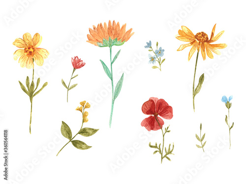 Set of watercolor wild flowers. Red poppy, yellow daisy, blue cornflower, sunflower. Delicate set for the design of cards, prints and backgrounds. Stained glass style
