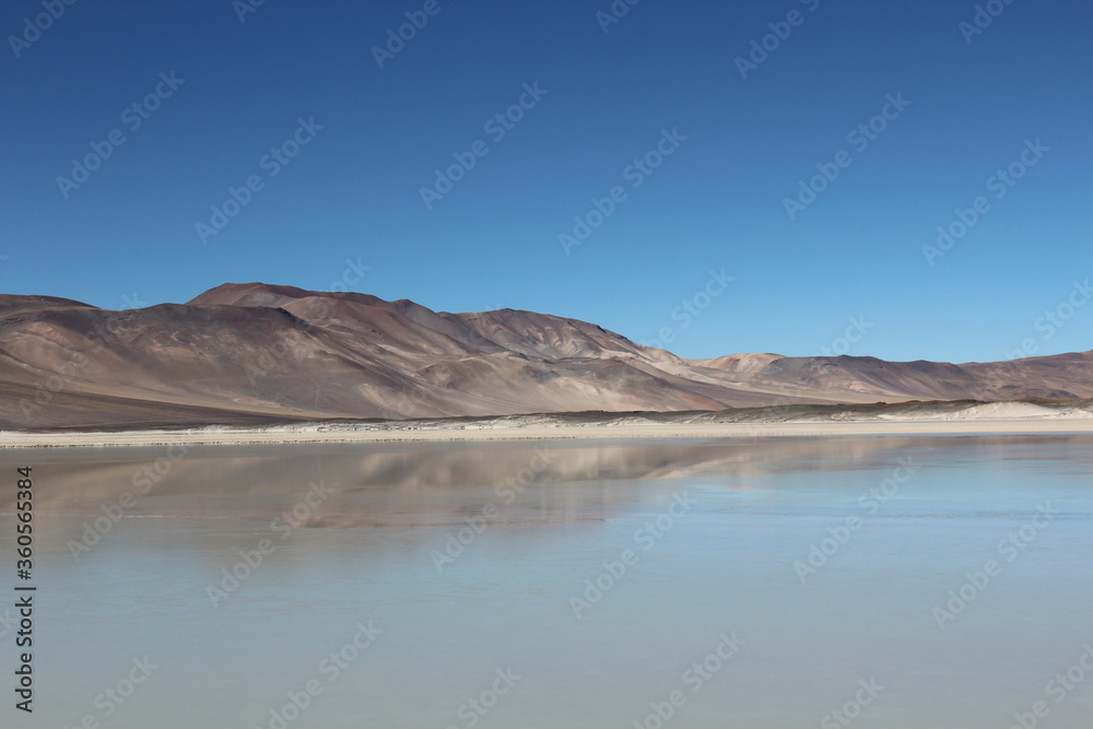 Landscape of Piedras Rojas, Atacama, Chile.