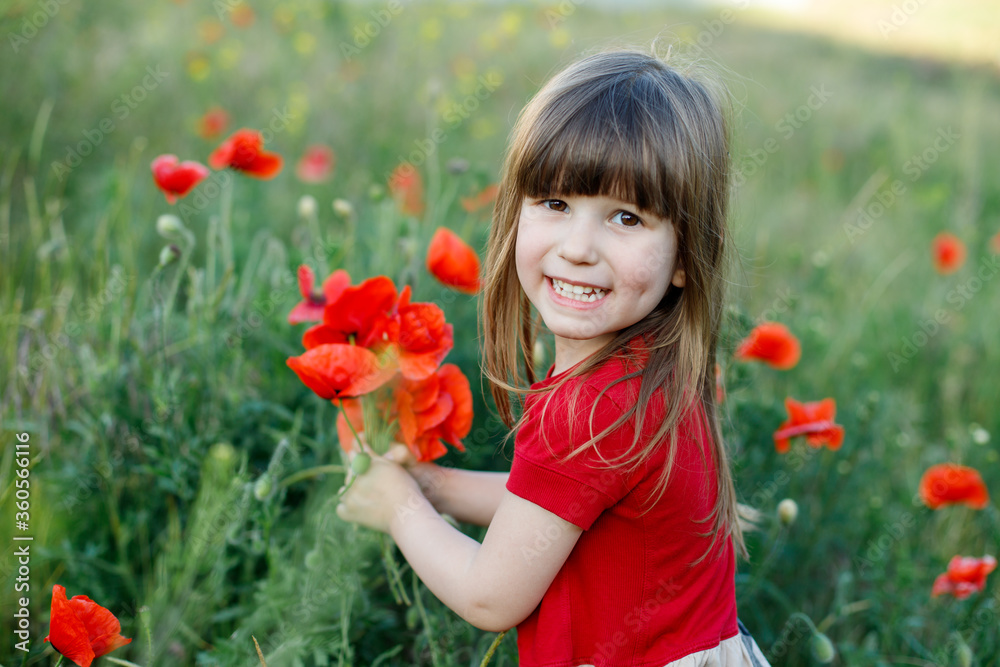 a girl of European appearance stands in a field and holds a bouquet of red flowers a girl of European appearance stands in a field and holds a bouquet of red flowers